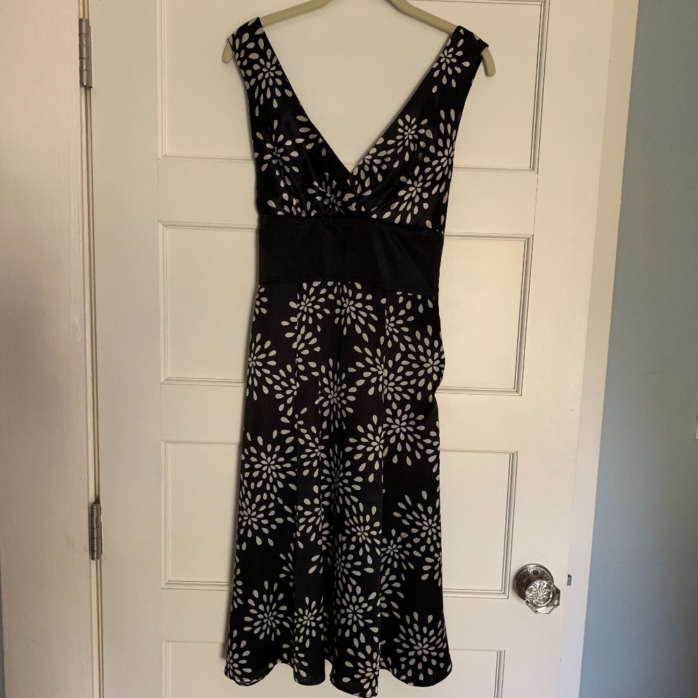 Gorgouse Silk Ted Baker Dress